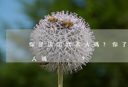 你是法定代表人嗎？你了解什么是法定代表人嗎？